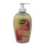 drugstoreonline.co.uk - Radox Liquid Handwash Antibacterial Nourishing With Pump